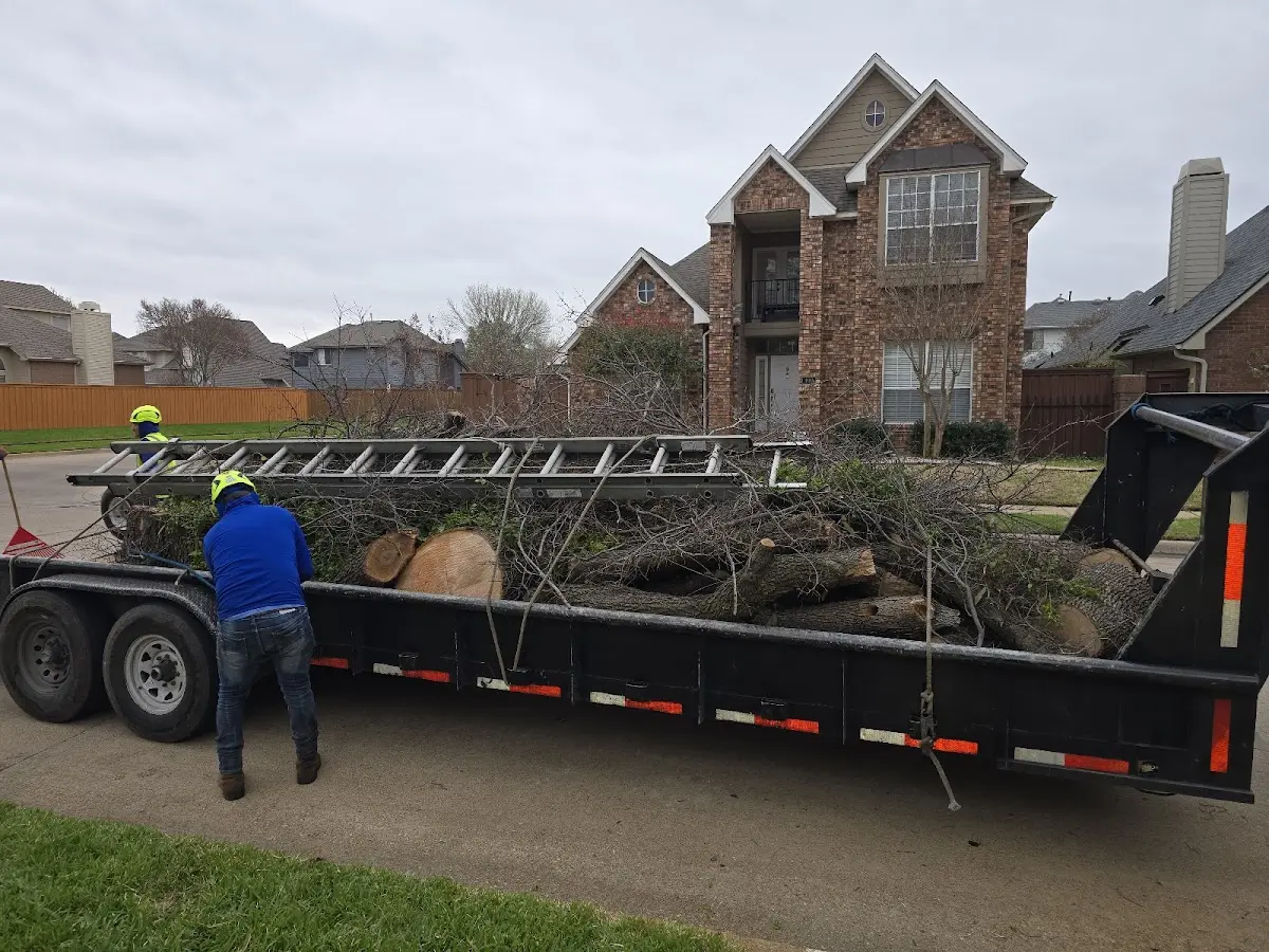 Expert Tree Fertilization with proper safety equipment in Centertown